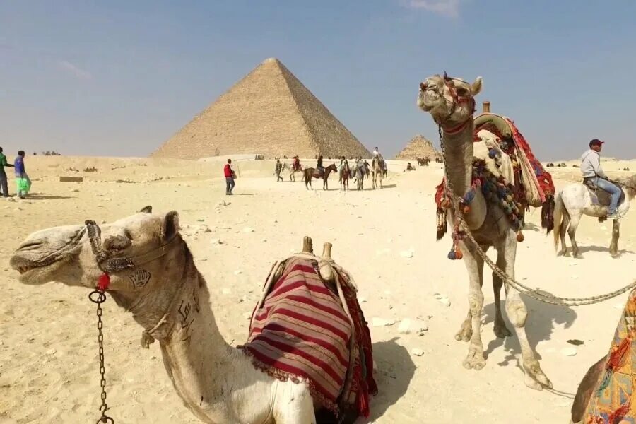 Египет можно ли отдыхать. Египет. Египет в декабре. Туристы в Египте в декабре. Египет в декабре 2021.