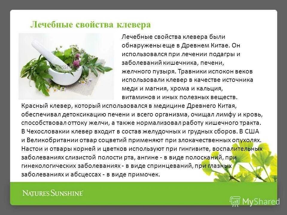 Полезные свойства ьемона. Легкое полезные свойства. Кефир чем полезен для организма. Легкое полезные свойства. Цветы липы лечебные.