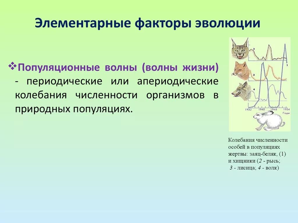 Наследственные значение для эволюции. Элементарные факторы эволюции. Элементарные эволюц факторы. Элементарные эволюционные факторы популяционные волны. Факторы эволюции популяционные волны.