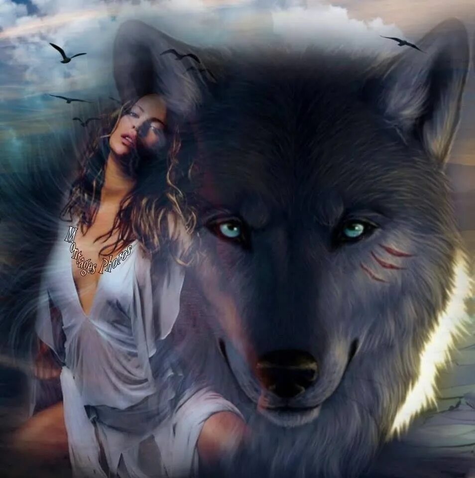 женщина волчица. женщина волчица. дарья лефлер красная шапочка. женщина волк. женщина волчица.