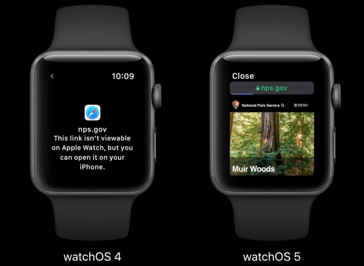 Эрл вотч. Сафари на эппл вотч. часы apple сафари. приложение apple safari. apple watch 5 размеры.