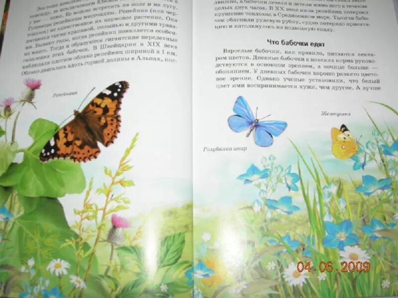 Рассказ 1 бабочки. Зеленые страницы первые бабочки. Рассказ первые бабочки. Рассказ первые бабочки зеленые страницы 2 класс