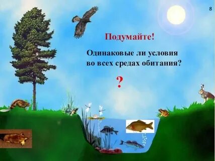 Сколько сред в декабре
