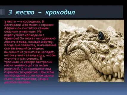 Опасные животные для человека 3 класс окружающий