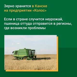 Где зерно