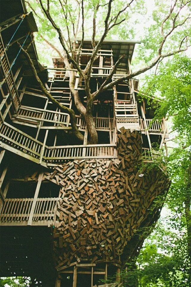 It s a tree house