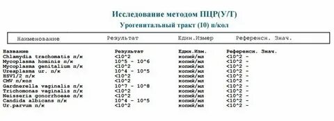 Пцр тест результаты анализа