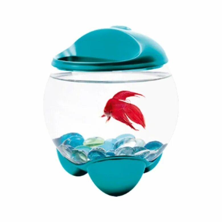 Tetra betta ring белый аквариум-шар с освещением led 1,8 л. Аквариум tetra cascade globe 6. Аквариум aquasyncro. Модель аквариума. Аквариум tetra cascade globe.