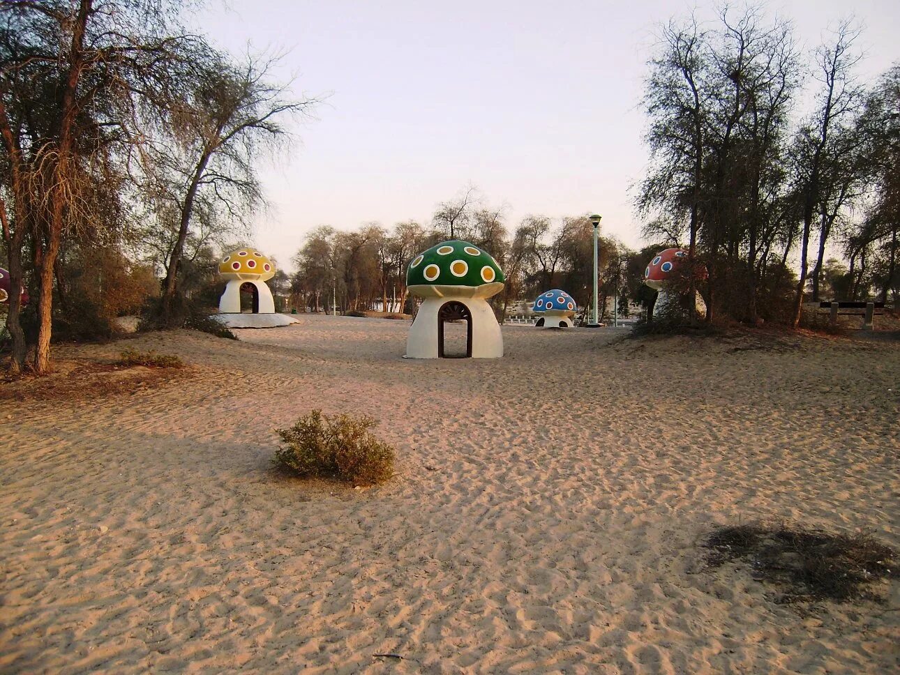 Парк мушриф. Al mushrif palace. Парк мушриф дубай фото. Мушриф, — дубай. Mushrif park дубай.