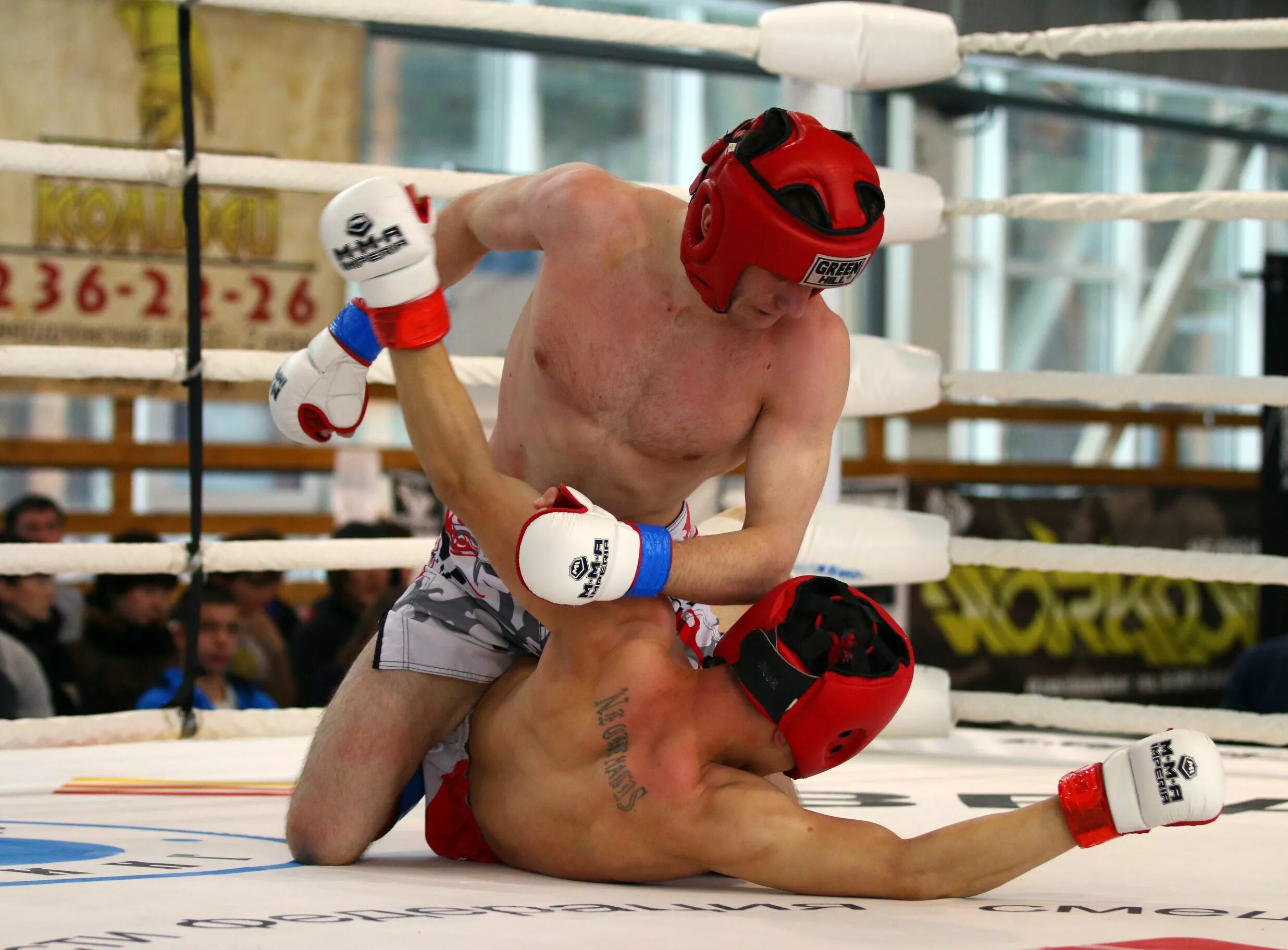 Mixed fighting