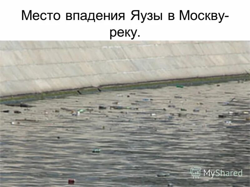 яуза впадает в москву реку