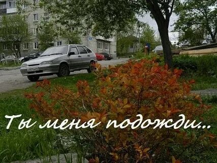 Подожди меня я вернусь песни