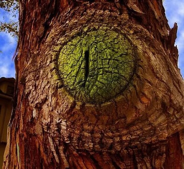 Just tree