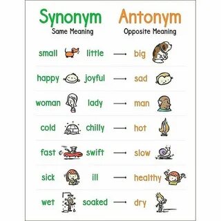 Shy антоним на английском