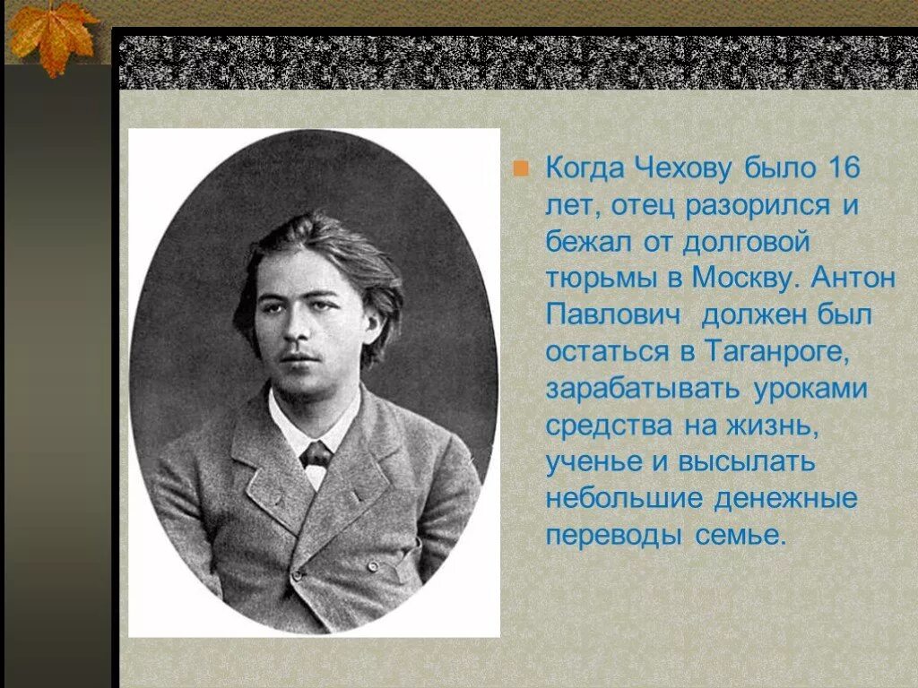 гбуз мо чеховская областная больница, поликлиника. биография чехова детство. детская чехов. детская чехов. произведения чехова список для детей.