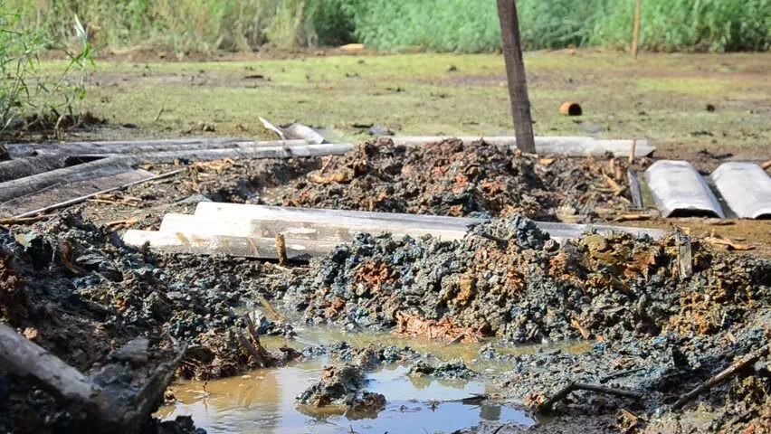 Тяжелые металлы загрязняющие почвы. Загрязнение почвы металлами. Загрязнение тяжелыми металлами. Тяжёлые металлы загрязняющие почву. Тяжелые металлы в почве.