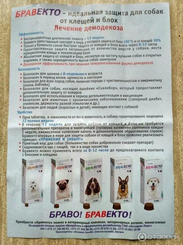 Щенкам от клещей с какого возраста. Таблетки от клещей для собак бравекто. таблетки от клеща для собак бравекто. бравекто для собак таблетки инструкция. капли от клещей бравекто.