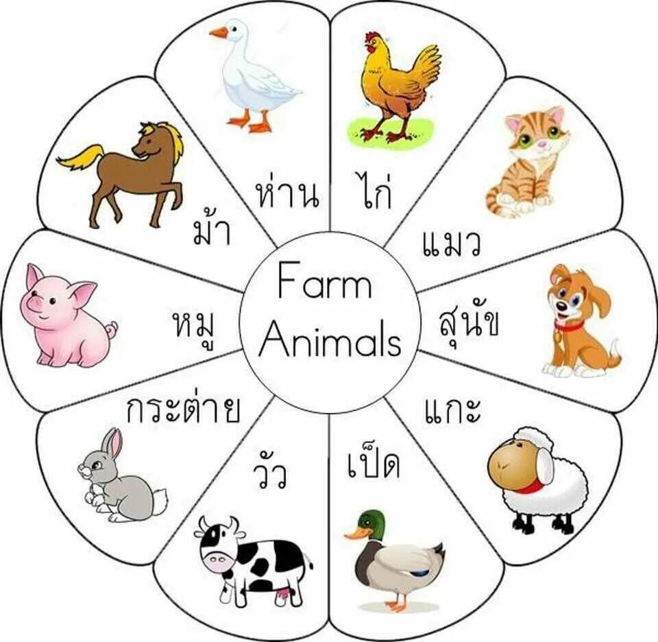 Pet 2 английский. Животные по английскому. Интерактивные задания животные по английскому. Животные на английском языке для детей. Animals интерактивная тетрадь.