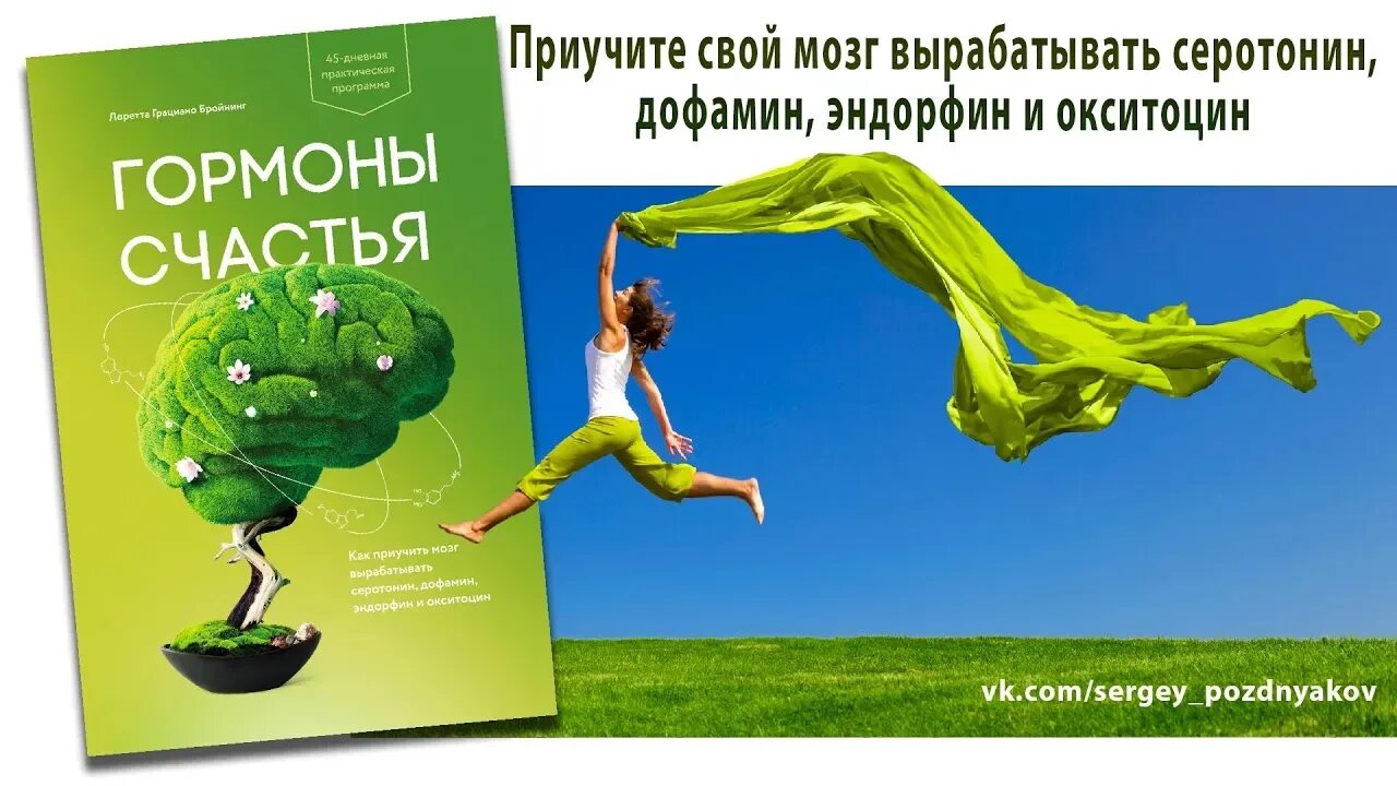 Гормоны счастья лоретта бройнинг. Адреналин дофамин и серотонин. Лоретта грациано бройнинг гормоны счастья. Книга гормоны счастья лоретта. Гормоны дофамин серотонин эндорфин окситоцин.
