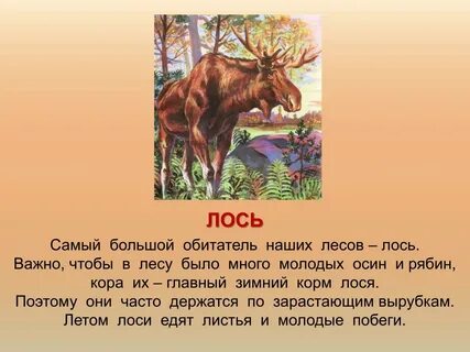Описание лося 4 класс окружающий мир