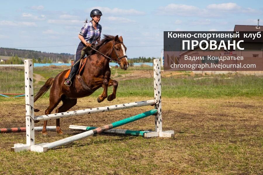 Клуб конюшня. Конно-спортивный клуб. Конный клуб Прованс. Конюшня Самара. Конно-спортивный клуб Прованс.