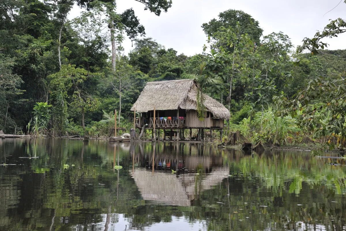 Индейцы бразилии в амазонии. Турецкий музей костюмы амазонок. Деревня амазонок. Деревня амазонок. Деревня племени в амазонке.