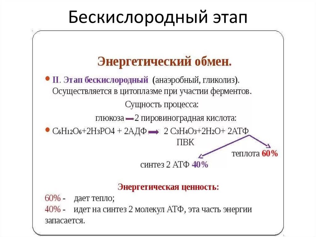 Бескислородный этап энергетического обмена происходит. 3 Этап энергетического обмена схема. Анаэробный этап энергетического обмена. Кислородный этап энергетического обмена схема. Этапы энергетического обмена гликолиз.