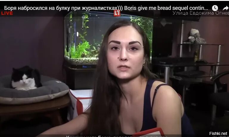 Боря отдам. Кот боря. &quot;булку отдай&quot;. жадный кот боря.