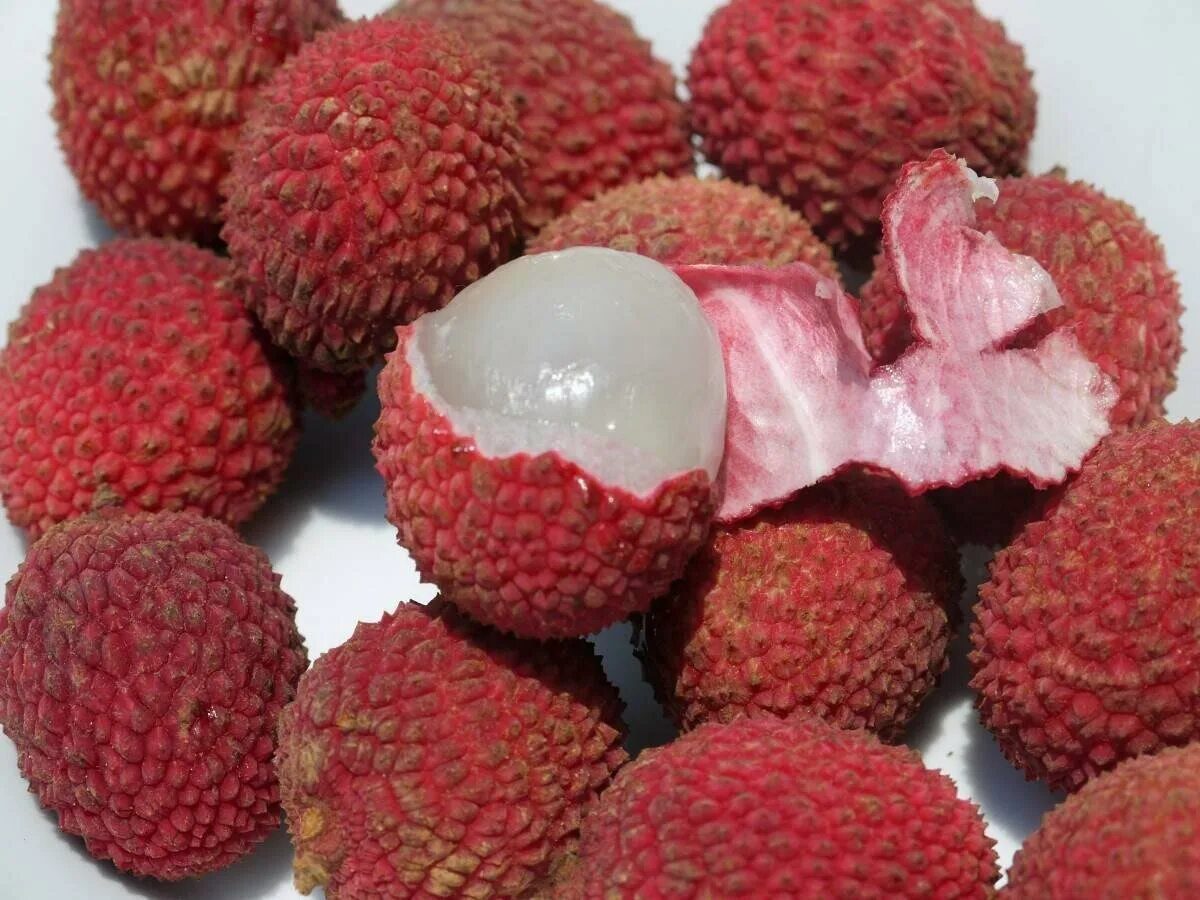 Красные фрукты названия. Litchi ягода. Экзофрукт личи. Личи мадагаскарские. Личи литчи китайская слива.