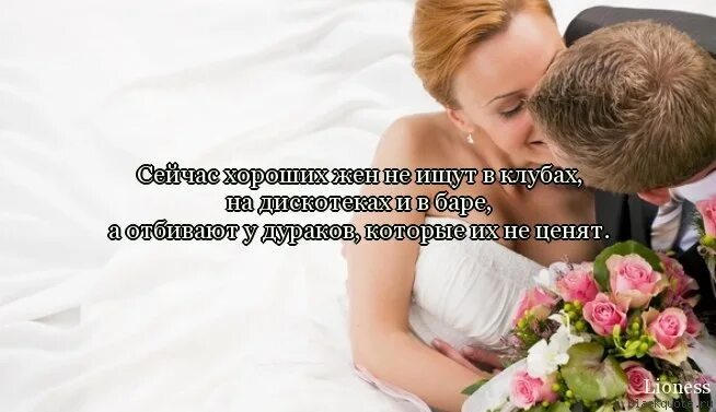 Хорошо сейчас выберу. Сейчас хороших жен не ищут. хороших жен не ищут их отбивают. ты теперь жена поздравление. хороших жен не ищут их отбивают у дураков.