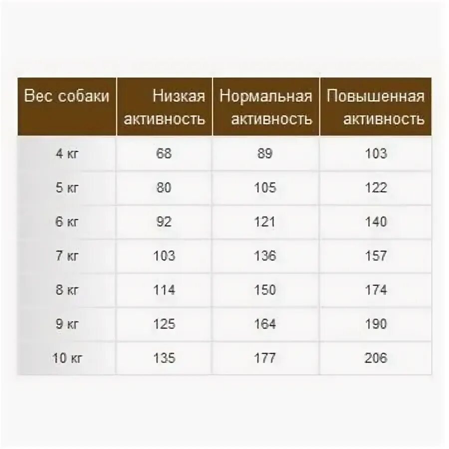 Сколько кормить щенка джек рассела. Сколько кормить щенка джек рассела