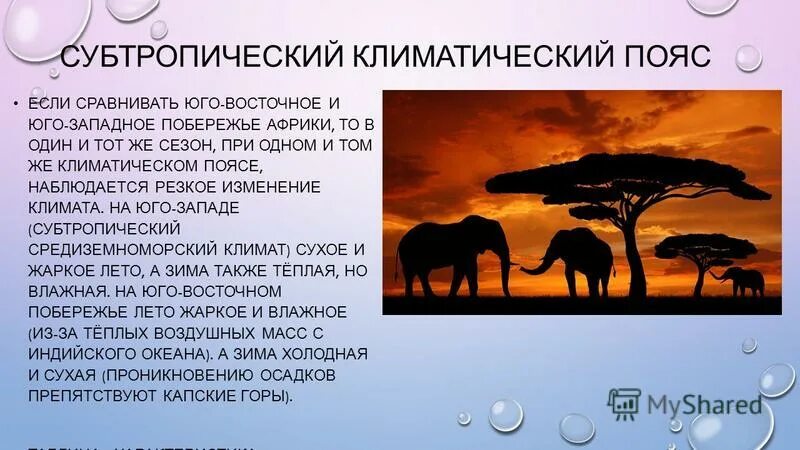 Средние осадки африки. Субтропический Средиземноморский климат Африки. Субтропический пояс Африки животные. Субтропический климатический пояс Африки. Интересные факты о климате Африки.