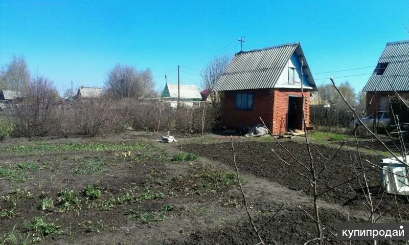 Снт птицевод 1. Снт птицевод,50. Участки снт птицевод. Снт птицевод омск. Снт птицевод усады.