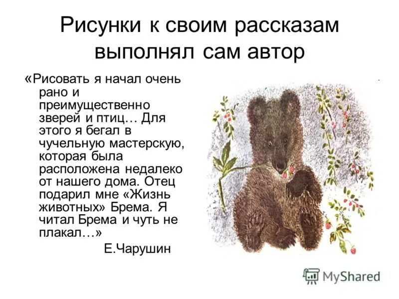 План к рассказу Чарушина кабан.