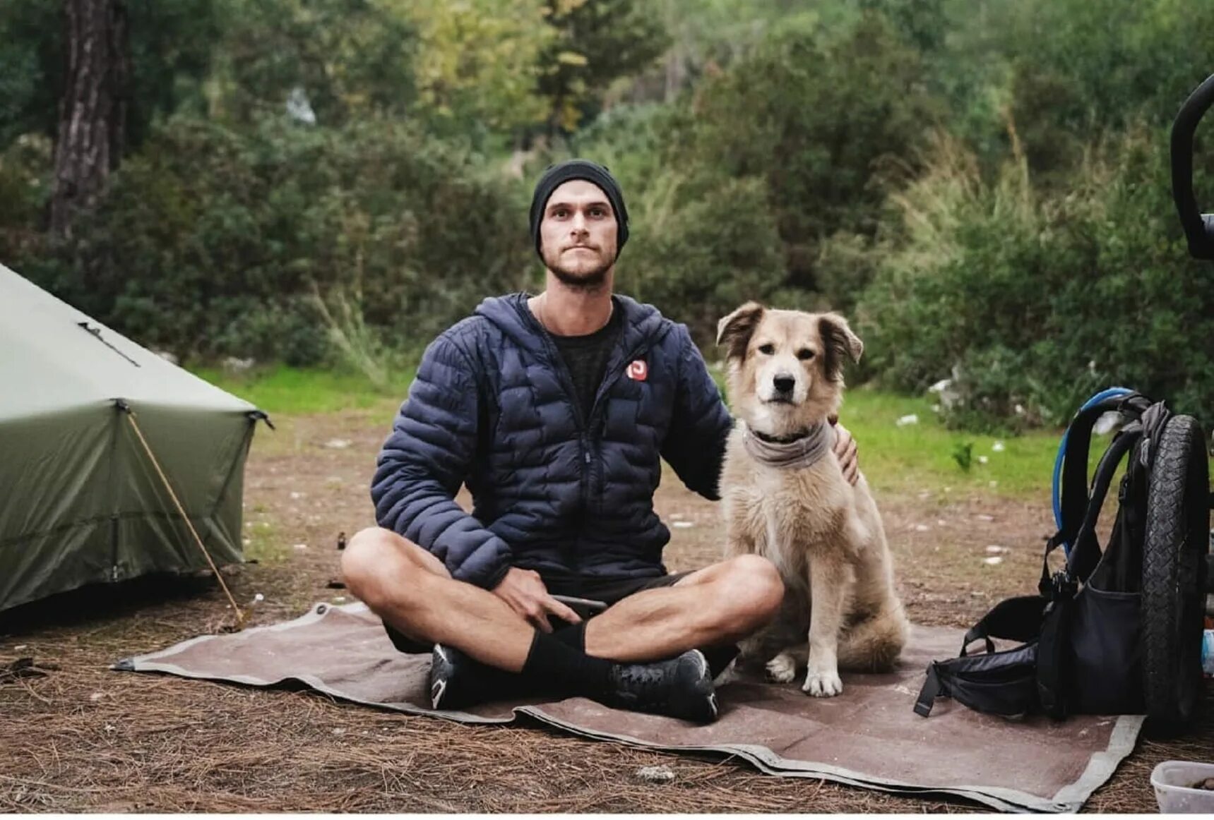 Ленивая собака. Гиф прогулка с собакой. While he walk his dog he meet. While he walk his dog he meet. Tom turcich.