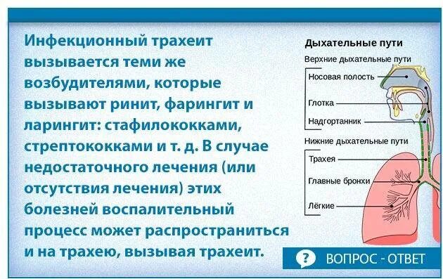 Кашель горлом у ребенка лечение