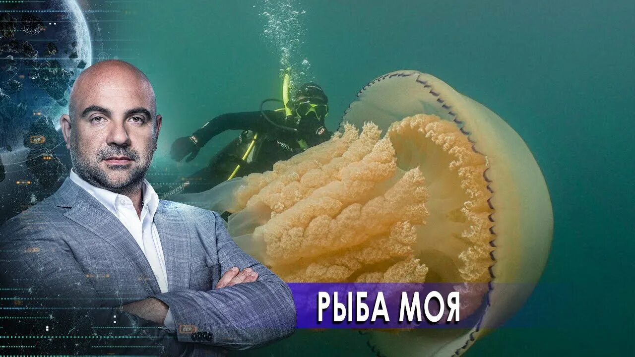 Так устроен мир с тимофеем баженовым. Как устроен мир с тимофеем баженовым.