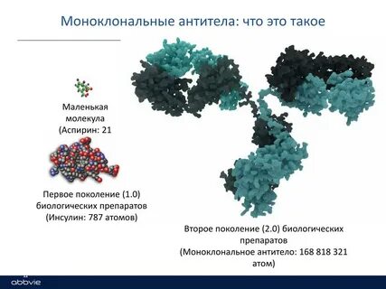 Антитела что это такое