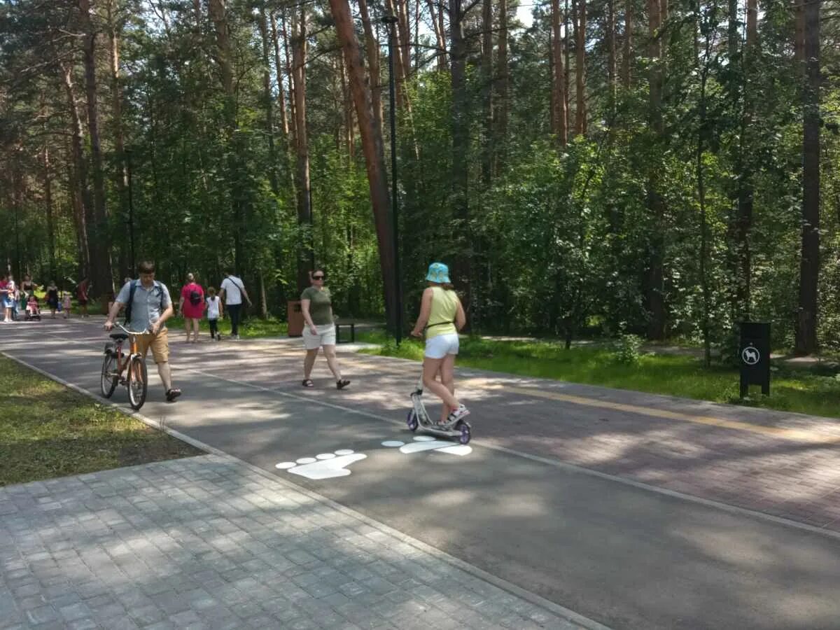 Бассейн в заельцовском парке