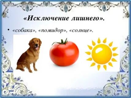 Можно ли собакам помидоры