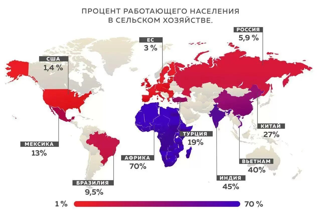 Апк страны лидеры. Потенциал сельского хозяйства в. Характерные особенности сельского хозяйства. Ведущие сельскохозяйственные отрасли франции. Страны с развитым сельским хозяйством.
