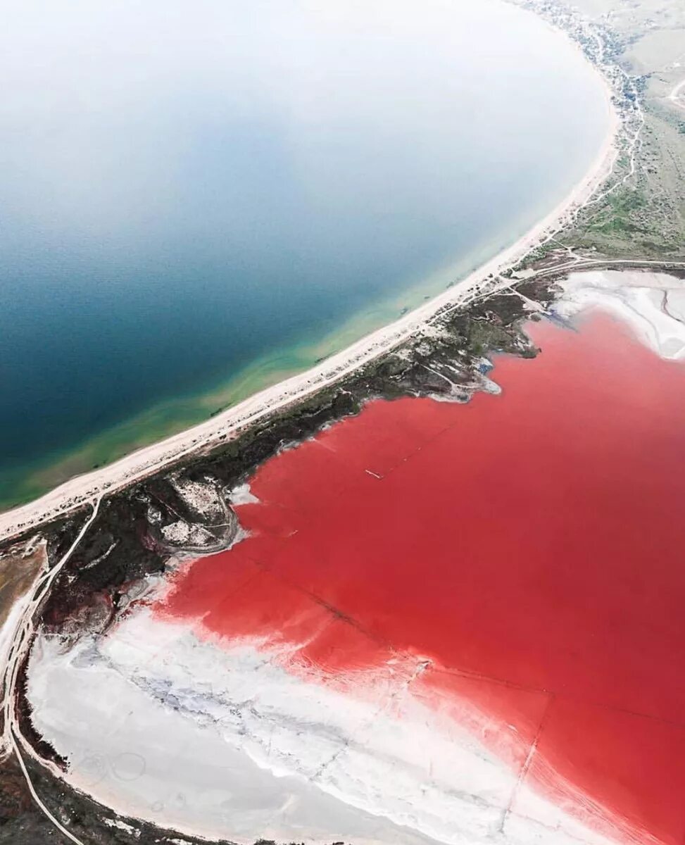 Розовый водоем в крыму. Сасык-Сиваш. Сасык Сиваш озеро. Озеро красное Красноперекопск. Кояшское озеро Керчь.