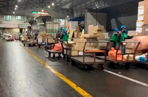 Работа в корее легально