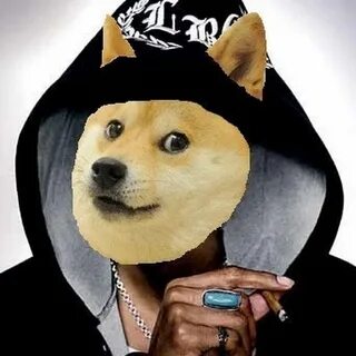 Авы доге