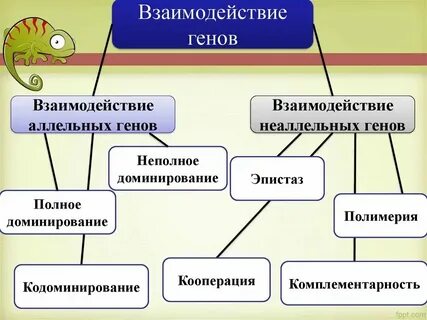 Взаимодействие биологических систем