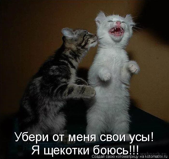 Почему люди боятся щекотки
