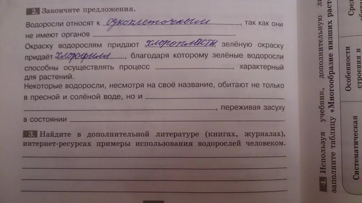 Закончить предложения подобрав. Закончите предложение водоросли относятся к. Тело водоросли не имеет закончить предложение. Закончи предложение водоросли не имеют. Закончить предложение.