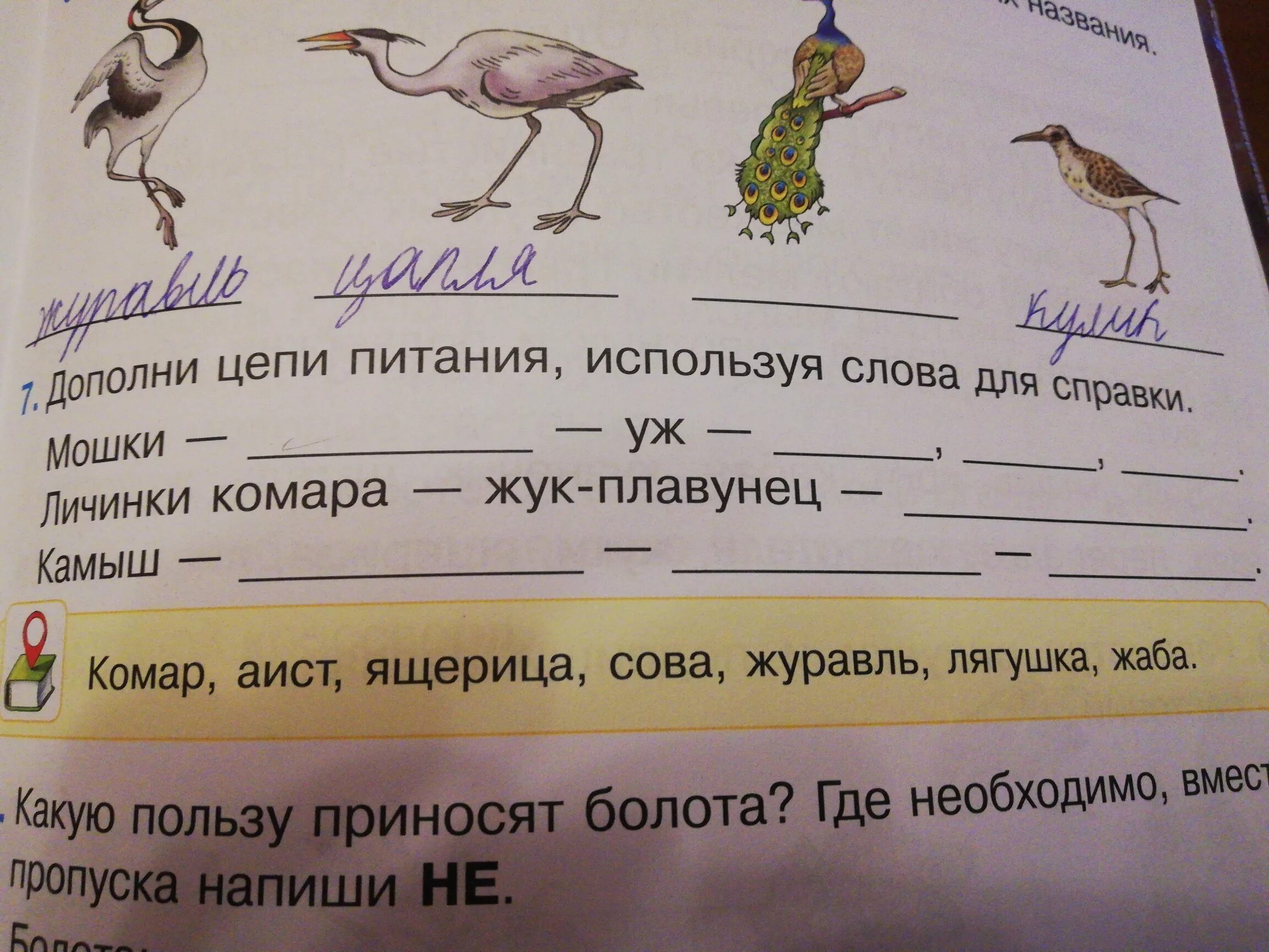 Составить текст используя слова