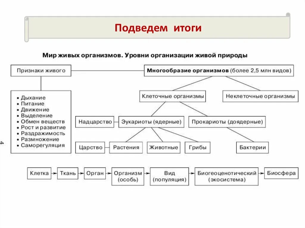 Таблица уровни организации и основные свойства живых организмов. Уровни организации живого схема. Свойства и уровни организации живого. Организация и ее свойства