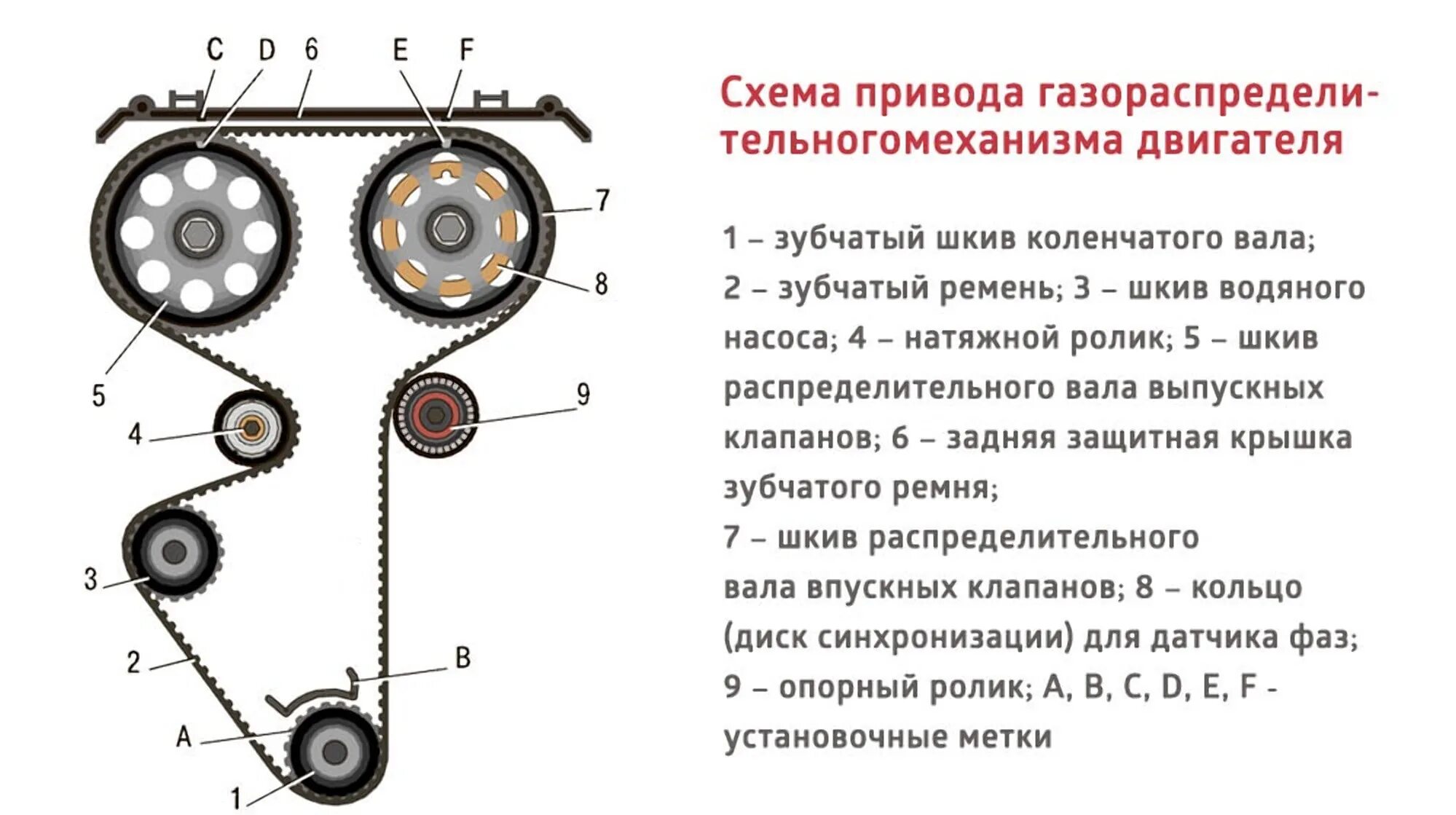 Метки 124 мотор. ГРМ ВАЗ 2112 16 клапанов 1.5. Ремень ГРМ ВАЗ 2112 16 клапанов на двигателе. ГРМ ВАЗ 2112 16 клапанов. Схема ГРМ 124 мотор.